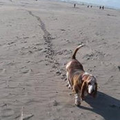 Karin Hoover's photo