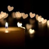 Erika Dollar's photo