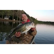 Mike Roden's photo