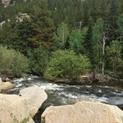 Shondra Holtzclaw's photo
