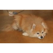 Erica Brown's photo