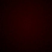 Thomas Jarrett's photo