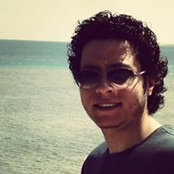 Ibrahim Bees billede
