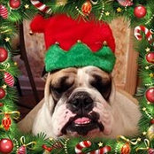 Phyllis Vaccaro's photo