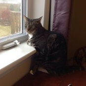 Patricia Dold's photo