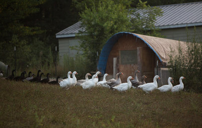 Houzz TV: Life, Love and Purpose Down on a USA Farm