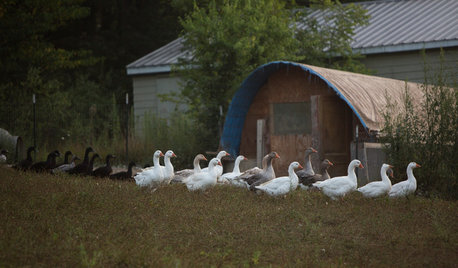 Houzz TV: Life, Love and Purpose Down on a USA Farm