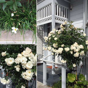 A selection | Mt Victoria, Roseneath, Seatoun, Northland, Wadestown, Ngaio ...