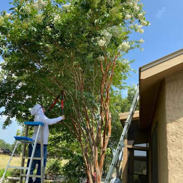 Tree Clean Up and Property Restoration in Burnet, TX
