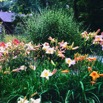 Various Plantings