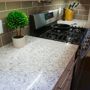 Inspiration for a transitional home design remodel in Jacksonville