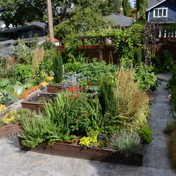 Raised Vegetable Bed / Ornamental Garden 2016