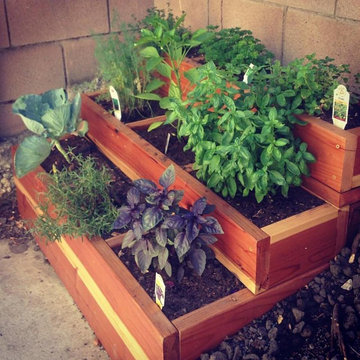 Herb Garden