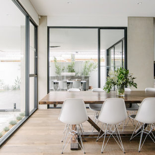 アデレードの広いコンテンポラリースタイルのLDKの画像 (白い壁、濃色無垢フローリング)