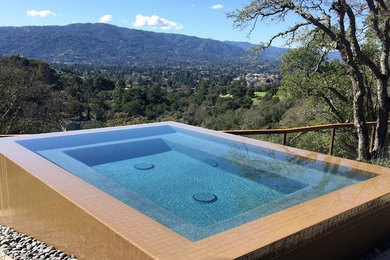 Trendy pool photo in San Francisco