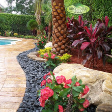 Landscape Ideas