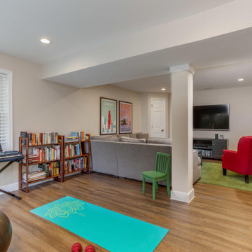 Reston Basement