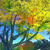 Brian Maupin's photo