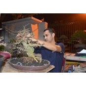 Adhy Satyas foto