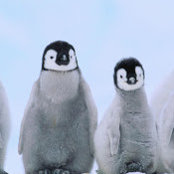 Claudia Salazar's photo