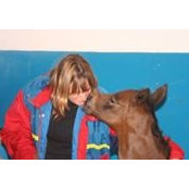 Jennifer Parry's photo