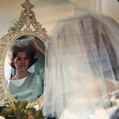 Lynette Christenson's photo
