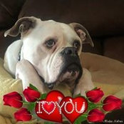 Kristen Lynds's photo