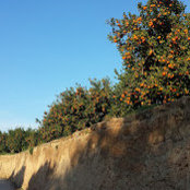 Jenny Johnson's photo