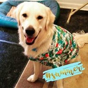 Tina Butera's photo