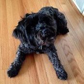 Amy Fechter's photo