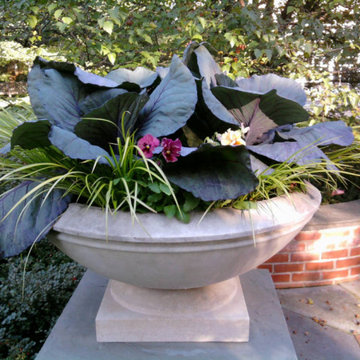 Container Pot Gardens