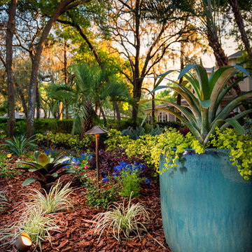 Fishhawk Trails - Vines Project (Campus Signature Package)