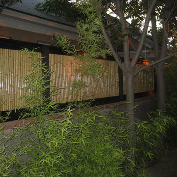Bamboo Fencing