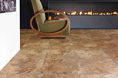 Family room - family room idea in Little Rock with a ribbon fireplace