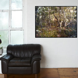 Artwork - National Park - Artwork