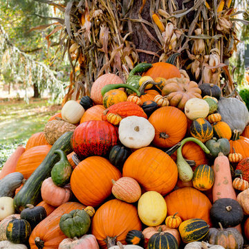 Houzz TV: Take a Leaf-Peeping Road Trip in New England