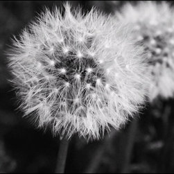 Photography - Home Decor