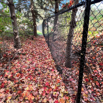 Fence project in Georgetown