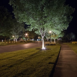 Outdoor Lighting in Westhave - Landscape Lighting