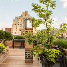 ROOFTOP Gardens