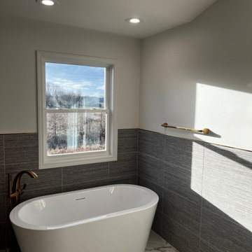 Carol Stream Master Bathroom