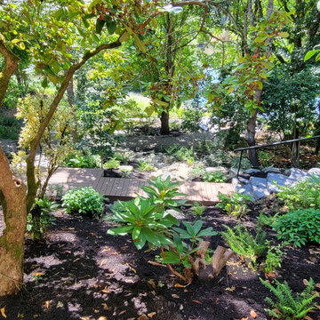 Scenic Descent: A Safe and Stunning Lakeside Path