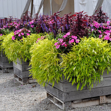 CONTAINERS