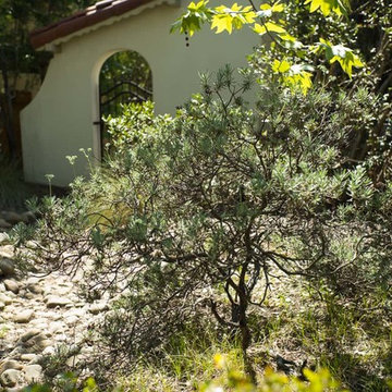 2018 Native Plant Garden Tour