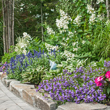 landscape border
