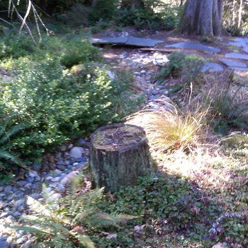 RAIN GARDENS & OUR RAIN GARDEN ISLAND (SM)