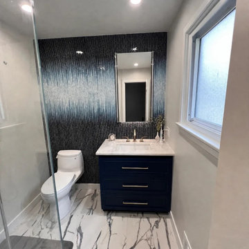 Master Bathroom Renovation — Deerfield, Illinois