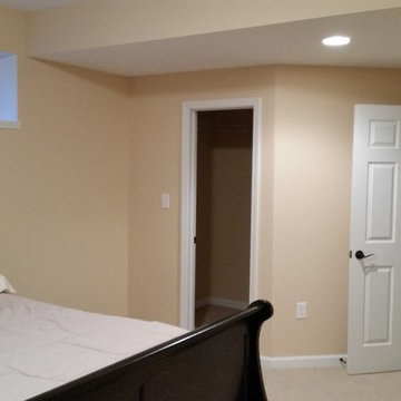 Basement Guest Bedroom