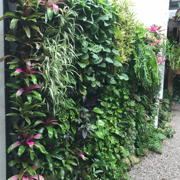 Living Wall