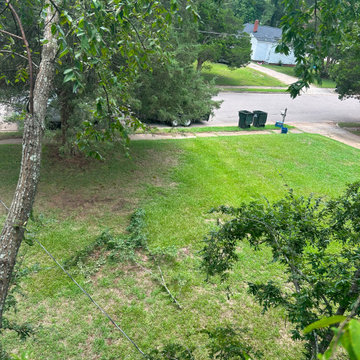 Professional Outdoor Landscaping & Property Maintenance